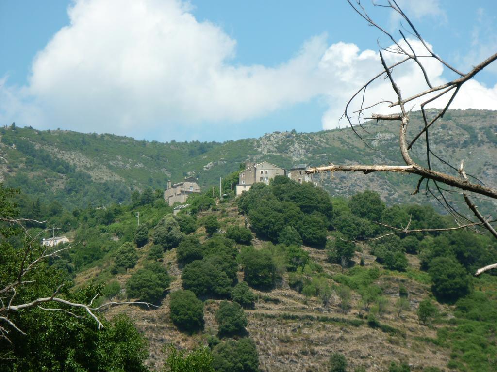 Quercitello Casa Valentini 빌라 외부 사진
